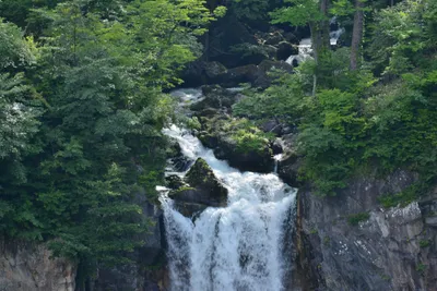 DSC_3965 (Large).JPG